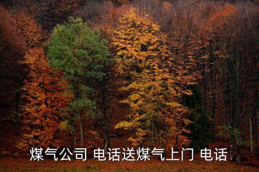 煤氣公司 電話送煤氣上門(mén) 電話