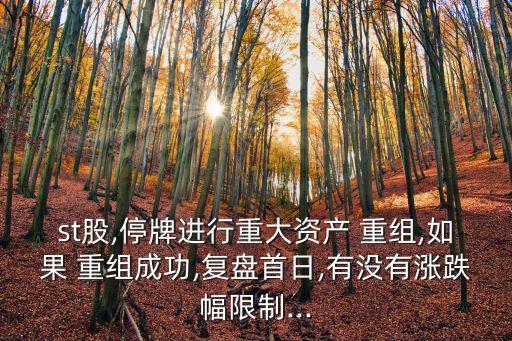 st股,停牌進(jìn)行重大資產(chǎn) 重組,如果 重組成功,復(fù)盤(pán)首日,有沒(méi)有漲跌幅限制...