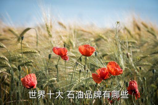 中國石油十強(qiáng),持有中國石油十年
