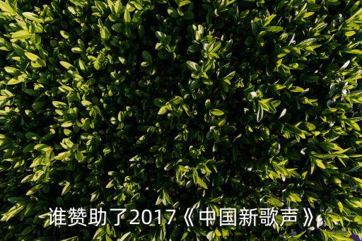 誰贊助了2017《中國(guó)新歌聲》