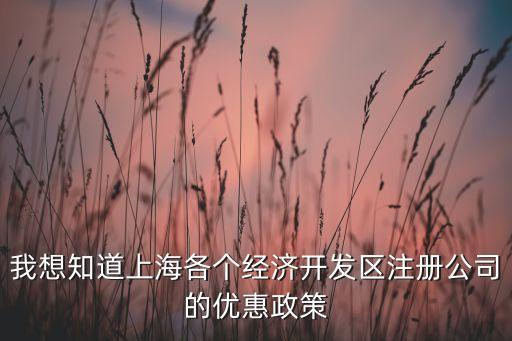 我想知道上海各個經(jīng)濟(jì)開發(fā)區(qū)注冊公司的優(yōu)惠政策