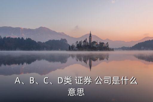 A、B、C、D類 證券 公司是什么意思