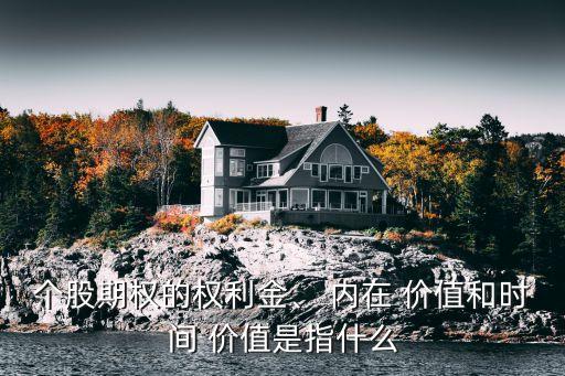 個股期權(quán)的權(quán)利金、 內(nèi)在 價值和時間 價值是指什么