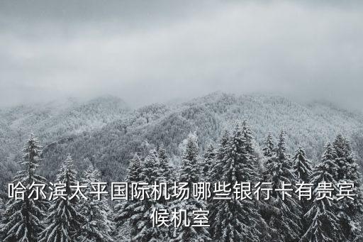 哈爾濱太平國(guó)際機(jī)場(chǎng)哪些銀行卡有貴賓候機(jī)室