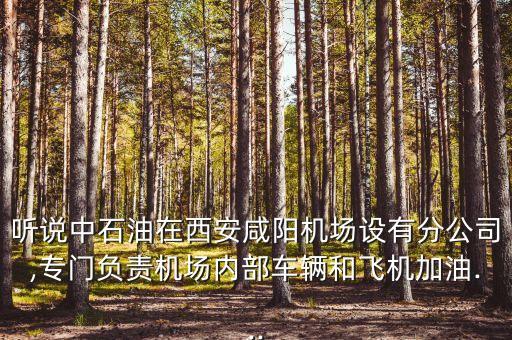 聽說中石油在西安咸陽機場設(shè)有分公司,專門負(fù)責(zé)機場內(nèi)部車輛和飛機加油...