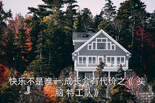 快樂不是唯一,成長會有代價(jià)之《 頭腦 特工隊(duì)》