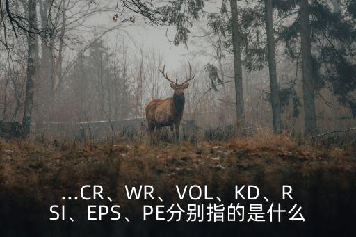 ...CR、WR、VOL、KD、RSI、EPS、PE分別指的是什么