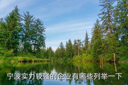  寧波實力較強的企業(yè)有哪些列舉一下
