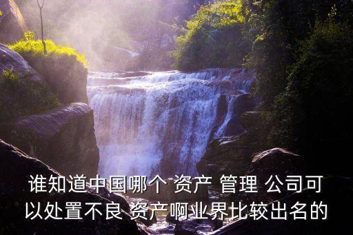 誰(shuí)知道中國(guó)哪個(gè) 資產(chǎn) 管理 公司可以處置不良 資產(chǎn)啊業(yè)界比較出名的