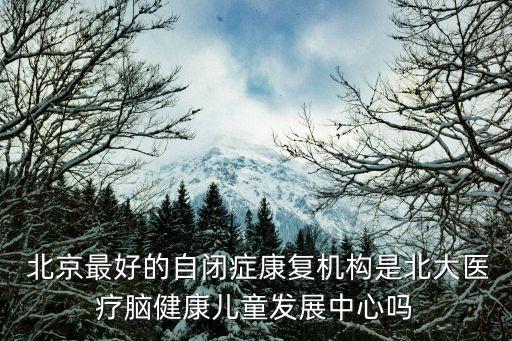  北京最好的自閉癥康復(fù)機構(gòu)是北大醫(yī)療腦健康兒童發(fā)展中心嗎