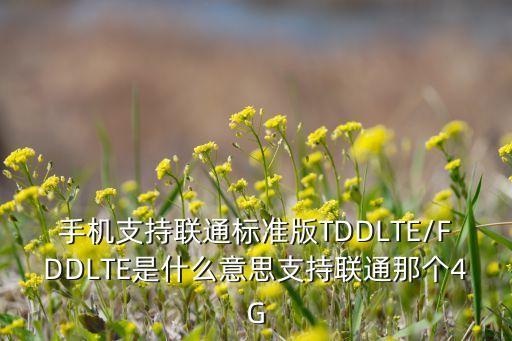 手機(jī)支持聯(lián)通標(biāo)準(zhǔn)版TDDLTE/FDDLTE是什么意思支持聯(lián)通那個4G