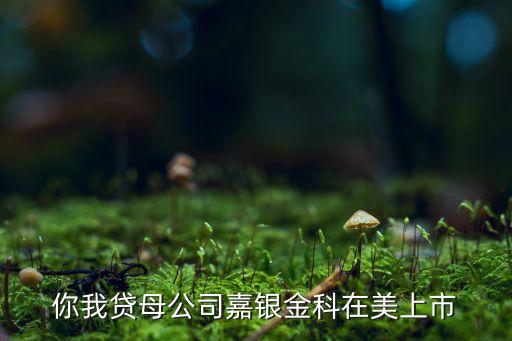 上?；ヂ?lián)網(wǎng)金融行業(yè)協(xié)會(huì),南寧市互聯(lián)網(wǎng)金融行業(yè)協(xié)會(huì)錢盆網(wǎng)