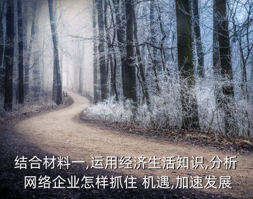 結合材料一,運用經(jīng)濟生活知識,分析 網(wǎng)絡企業(yè)怎樣抓住 機遇,加速發(fā)展