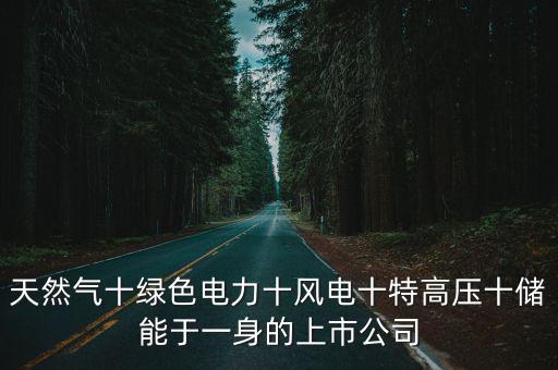 遼寧賽科新能源技術開發(fā)有限公司,南京知行新能源汽車技術開發(fā)有限公司