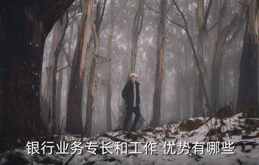  銀行業(yè)務(wù)專長(zhǎng)和工作 優(yōu)勢(shì)有哪些