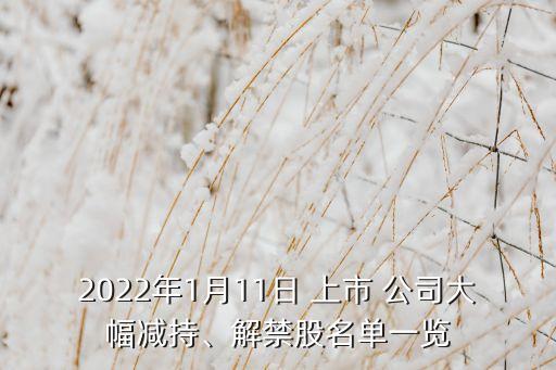 2022年1月11日 上市 公司大幅減持、解禁股名單一覽