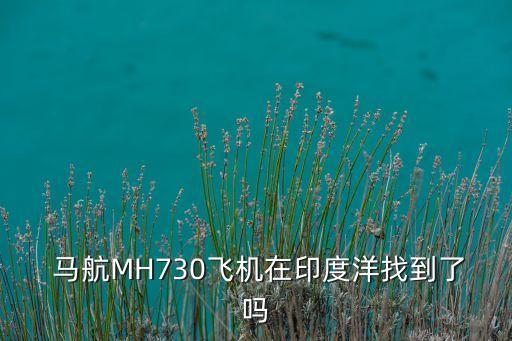 馬航中國(guó)保險(xiǎn)