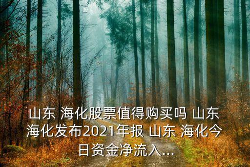  山東 ?；善敝档觅徺I嗎 山東 ?；l(fā)布2021年報 山東 海化今日資金凈流入...