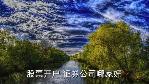 上海國開證券如何,上海開哪個(gè)證券的戶比較好