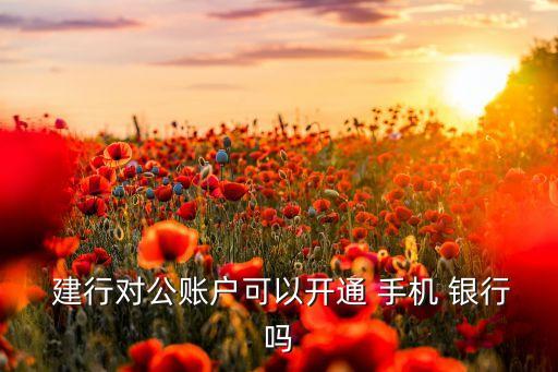  建行對(duì)公賬戶(hù)可以開(kāi)通 手機(jī) 銀行嗎