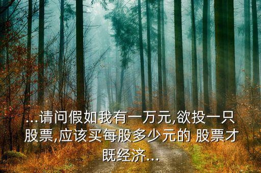 ...請問假如我有一萬元,欲投一只 股票,應(yīng)該買每股多少元的 股票才既經(jīng)濟...