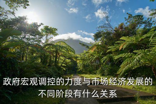 政府宏觀調(diào)控的力度與市場(chǎng)經(jīng)濟(jì)發(fā)展的不同階段有什么關(guān)系