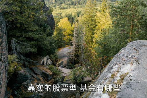 嘉實低碳環(huán)?；饍糁?嘉實環(huán)保低碳基金001616