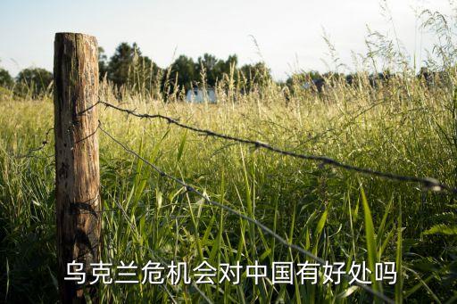  烏克蘭危機(jī)會(huì)對(duì)中國有好處嗎