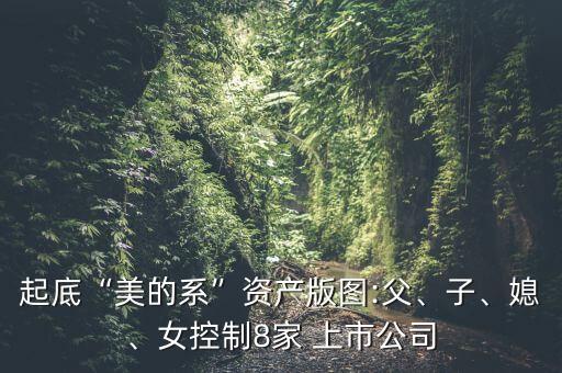 起底“美的系”資產(chǎn)版圖:父、子、媳、女控制8家 上市公司