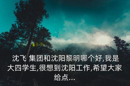  沈飛 集團(tuán)和沈陽黎明哪個好,我是大四學(xué)生,很想到沈陽工作,希望大家給點(diǎn)...