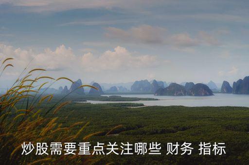 炒股需要重點關(guān)注哪些 財務(wù) 指標(biāo)