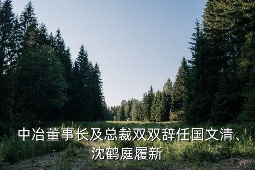  中冶董事長(zhǎng)及總裁雙雙辭任國(guó)文清、沈鶴庭履新