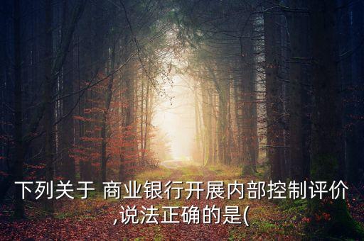 下列關(guān)于 商業(yè)銀行開展內(nèi)部控制評(píng)價(jià),說法正確的是(