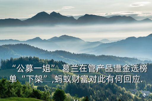 “公募一姐” 葛蘭在管產(chǎn)品遭金選榜單“下架”,螞蟻財富對此有何回應(yīng)...