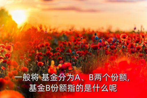 一般將 基金分為A、B兩個份額, 基金B(yǎng)份額指的是什么呢