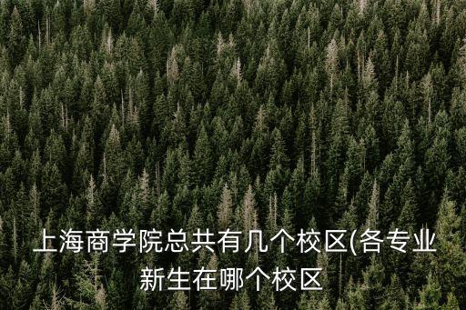 上海建設國際貿(mào)易中心