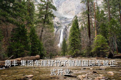 鼎豐 集團(tuán)車(chē)?yán)遄阎褡又腔蹏?guó)際車(chē)城正式開(kāi)業(yè)