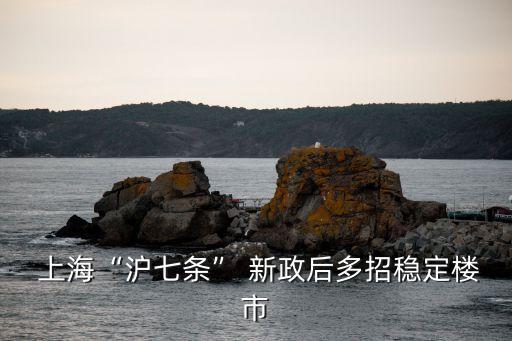 上海新政對房價(jià)的影響,影響上海房價(jià)的因素
