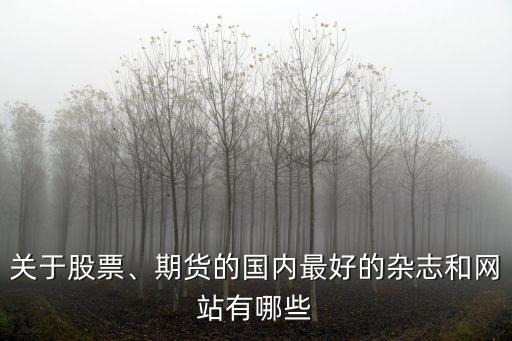 關(guān)于股票、期貨的國內(nèi)最好的雜志和網(wǎng)站有哪些