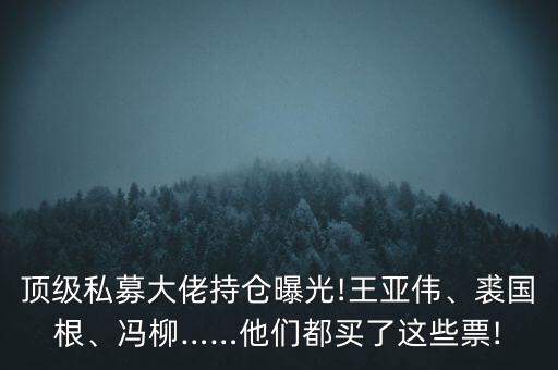 頂級私募大佬持倉曝光!王亞偉、裘國根、馮柳……他們都買了這些票!