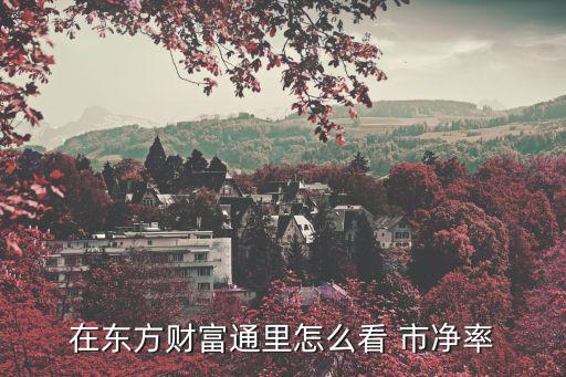 在東方財(cái)富通里怎么看 市凈率