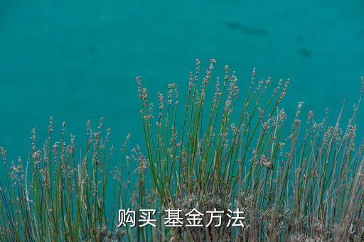 購(gòu)買 基金方法