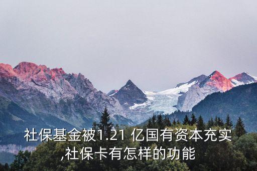 社?；鸨?.21 億國(guó)有資本充實(shí),社?？ㄓ性鯓拥墓δ? class=