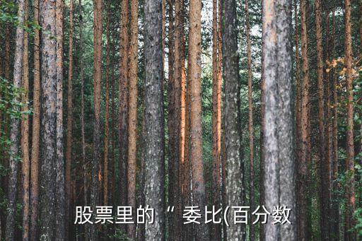  股票里的“ 委比(百分數(shù)