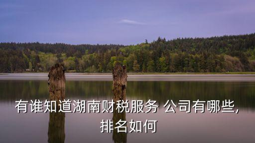 國(guó)內(nèi)融資租賃公司排名,山東省融資租賃公司排名