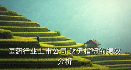 哈藥集團(tuán)財(cái)務(wù)報(bào)表分析