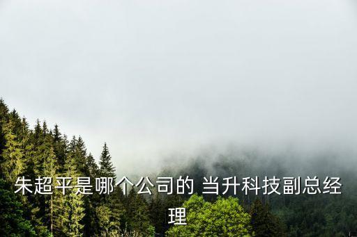 朱超平是哪個公司的 當升科技副總經(jīng)理