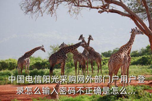  中國(guó)電信陽(yáng)光采購(gòu)網(wǎng)外部門戶用戶登錄怎么輸入密碼不正確是怎么...