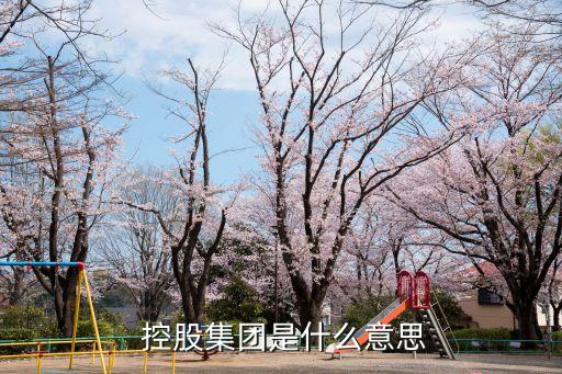  控股集團(tuán)是什么意思