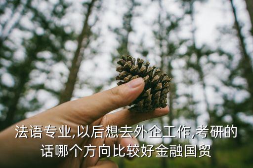 法語(yǔ)專業(yè),以后想去外企工作,考研的話哪個(gè)方向比較好金融國(guó)貿(mào)